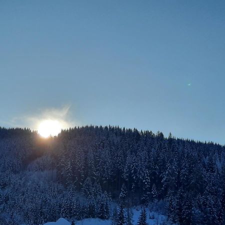 Gaestehaus Gamsblick Werfenweng Kültér fotó