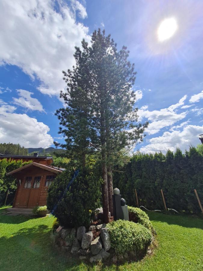 Gaestehaus Gamsblick Werfenweng Kültér fotó